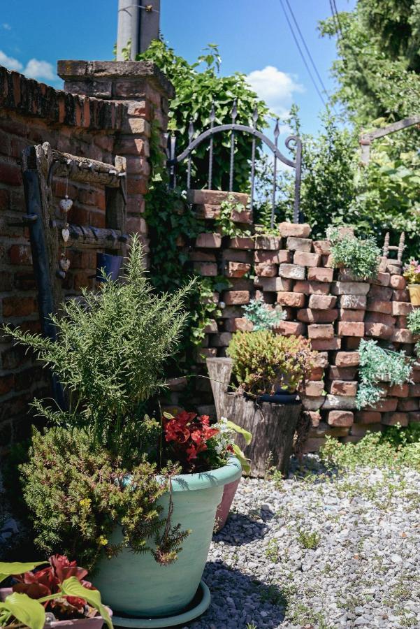 Studio Apartment Romeo Velika Gorica Exterior foto
